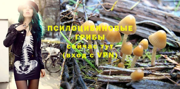 хмурый Инта