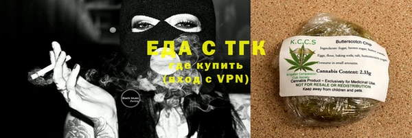 тгк Инсар