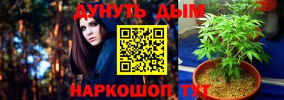 apvp Нягань