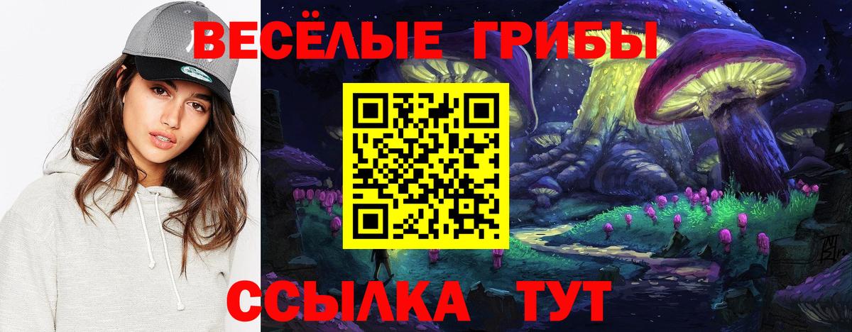 Дюртюли  Галлюциногенные грибы Cubensis  Вход с VPN 