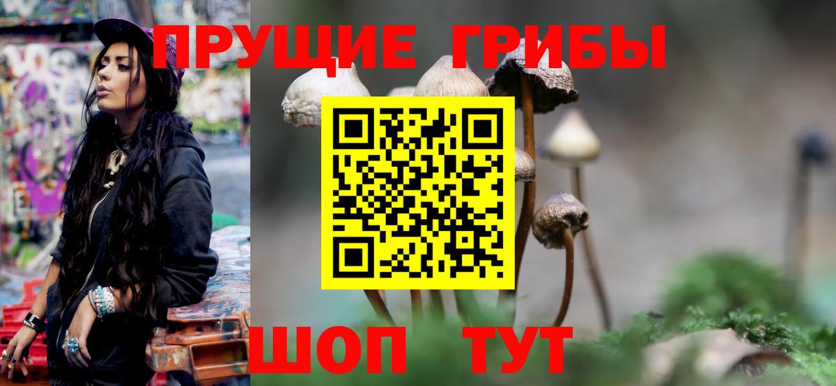 Псилоцибиновые грибы Psilocybe Дюртюли