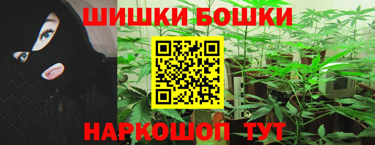 Бошки Шишки семена Дюртюли